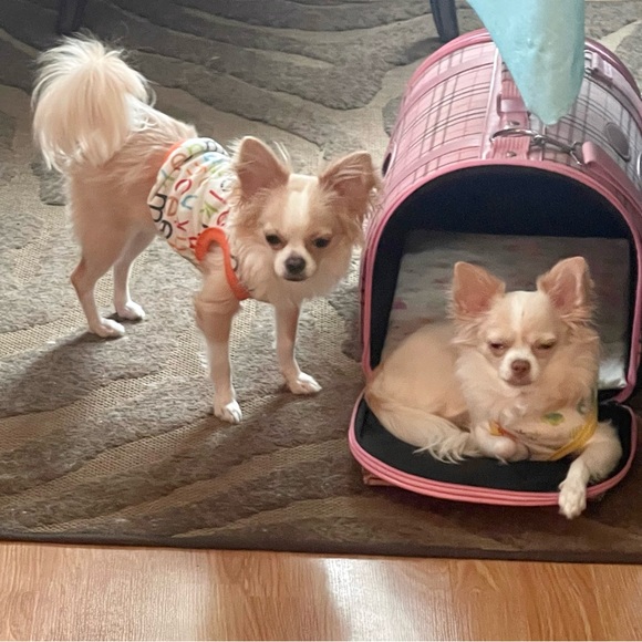 Meet your Posher, Erin - Picture 11 of 15